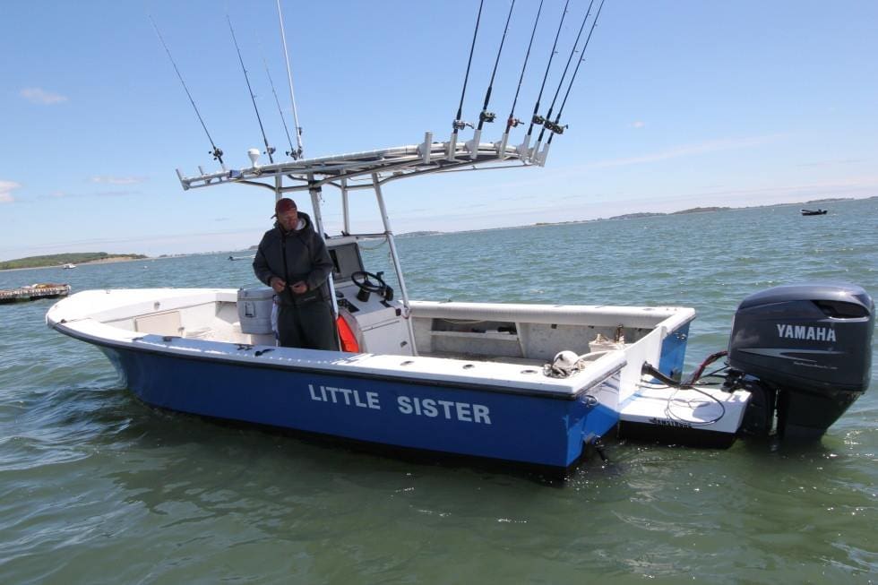 Little Sister Charters
